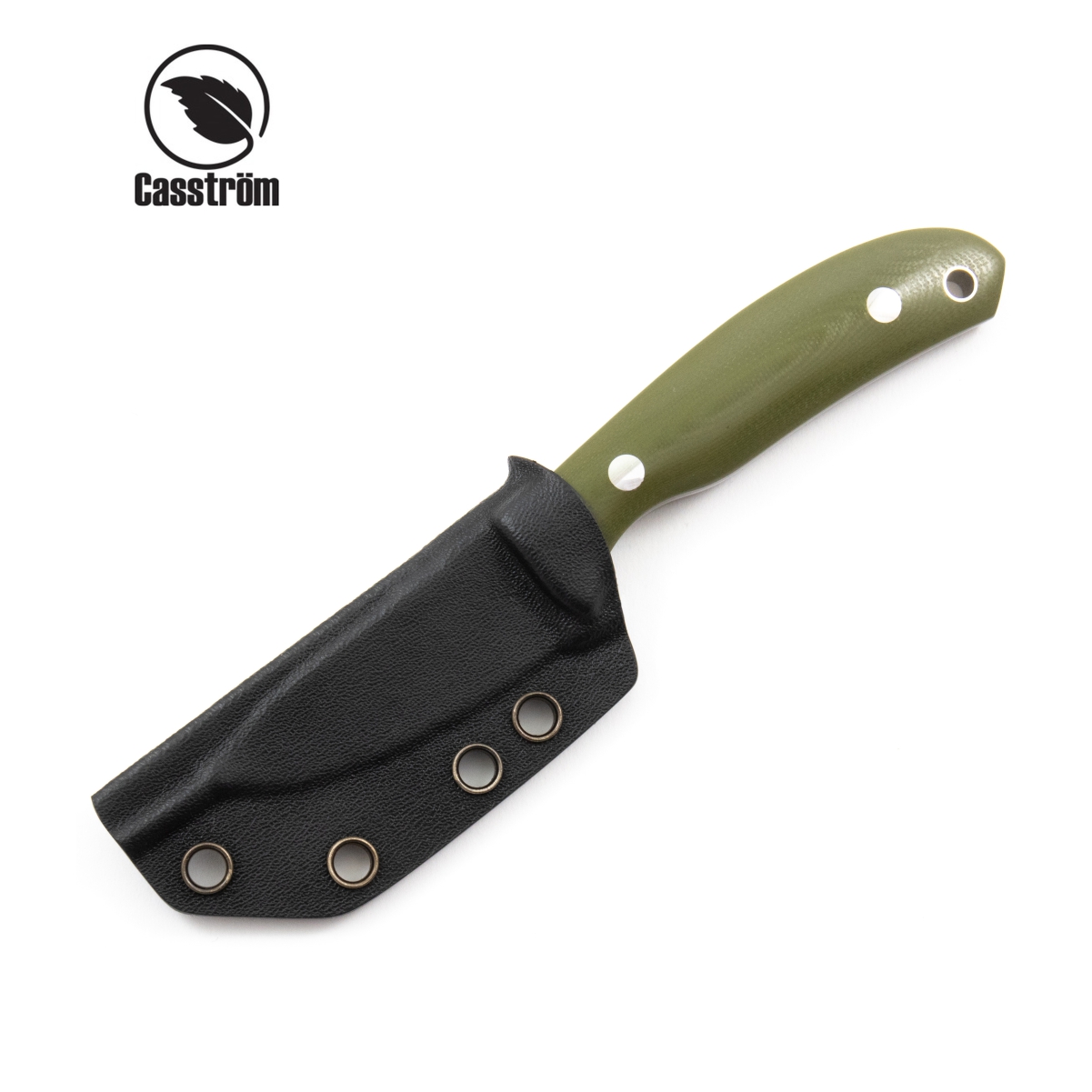 CASSTROM SAFARI 1